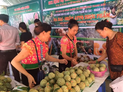 Na dai Mai Sơn ảnh 2
