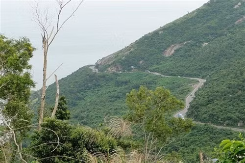 Phú Yên đâu chỉ có hoa vàng, cỏ xanh ảnh 1