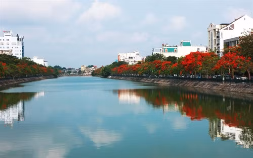 Cây phượng nở hoa rực rỡ trên đường 353, quận Đồ Sơn. Ảnh: Lâm Khánh - TTXVN Những con đường dẫn vào khu du lịch Đồ Sơn ngập tràn sắc đỏ của hoa phượng. Ảnh: Lâm Khánh - TTXVN Những con đường dẫn vào khu du lịch Đồ Sơn ngập tràn sắc đỏ của hoa phượng. Ảnh: Lâm Khánh - TTXVN Những con đường dẫn vào khu du lịch Đồ Sơn ngập tràn sắc đỏ của hoa phượng. Ảnh: Lâm Khánh - TTXVN Hoa phượng nở dọc bờ hồ Tam Bạc - trung tâm thành phố Hải Phòng. Ảnh: Lâm Khánh - TTXVN