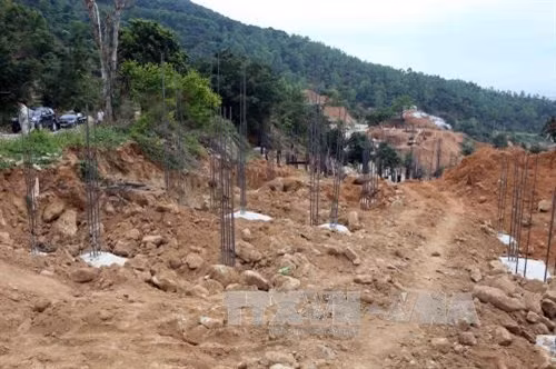 Đà Nẵng báo cáo Thủ tướng về quy hoạch tổng thể Khu du lịch quốc gia Sơn Trà ảnh 3
