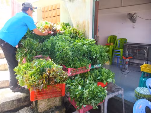 Bềnh bồng trên mây đến với Đà Lạt của miền Tây ảnh 11