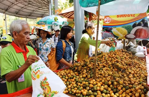 Tưng bừng khai mạc Lễ hội Trái cây Nam bộ năm 2017 ảnh 1