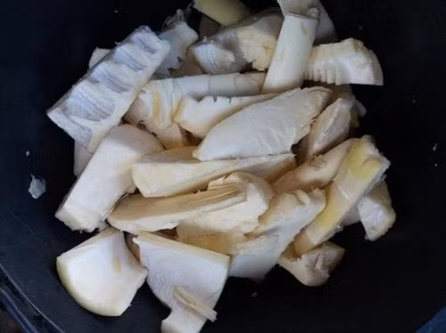 Những ngày này người Khơ Mú ở xã vùng cao Bảo Thắng, Kỳ Sơn (Nghệ An) rủ nhau vào rừng hái măng luồng để chế biến món măng trộn tro bếp. Ảnh: Lữ Phú Đây là loại măng có vị ngọt và có màu sáng hơn các loại măng khác. Để hái được măng người dân phải mất cả nửa ngày... Ảnh: Lữ Phú Quy trình chế biến biến món ăn này cũng khá công phu. Ảnh: Lữ Phú Sau khi rửa sạch, người dân cắt nhỏ măng thành từng miếng, sau đó ngâm nước 1 đến 2 ngày, cho măng có vị chua và giảm vị hăng của măng, sau đó đến công đoạn trộn với tro bếp. Ảnh: Lữ Phú Đây là công đoạn quan trọng nhất để tạo hương vị cho món ăn, cũng là cách bảo quản măng hữu hiệu, loại tro dùng để trộn phải là tro mun mới đun, còn ở trong bếp lửa. Ảnh: Lữ Phú Sau khi trộn tro được 10 phút, măng rửa sạch, đập nát và thái thành từng miếng nhỏ. Ảnh: Lữ Phú Chị Xeo Thị Bún, bản Cha Ka 1, xã Bảo Thắng cho biết: Măng sau khi được ngâm nước và trộn tro bếp thì có thể chế biến được rất nhiều món ăn, có thể xào với nhiều loại thịt khác nhau, cũng có thể nấu canh. Trong ảnh là món măng xào thịt bò. Ảnh: Lữ Phú Cũng có thể nấu canh với tro của lá sả sau khi đốt cháy. Ảnh: Lữ Phú Với tập quán du canh du cư trước đây của đồng bào Khơ Mú thì việc bảo quản và dự trữ thức ăn gặp rất nhiều khó khăn. Tuy nhiên đồng bào đã biết sử dụng phương pháp hun khói, thịt phơi gác bếp hay là măng trộn tro bếp để bảo quản thực phẩm được lâu dài qua mùa sản xuất nương rẫy. Trước đây khi nguồn thực phẩm còn khan hiếm, thì món măng trộn tro bếp là nguồn thực phẩm chính giúp đồng bào vượt qua đói khát vào mùa giáp hạt. . Ảnh: Lữ Phú