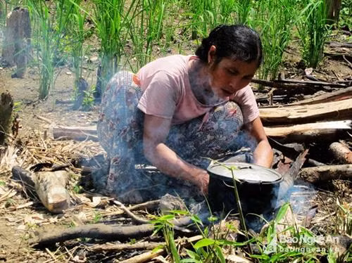 Cuộc sống ở rẫy của người vùng cao xứ Nghệ. Ảnh: Hữu Vi