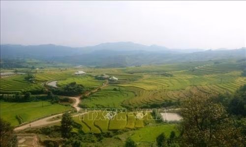 Đến với Lai Châu, du khách được chiêm ngưỡng hình ảnh ruộng bậc thang đẹp mắt. Ảnh: Việt Hoàng - TTXVN