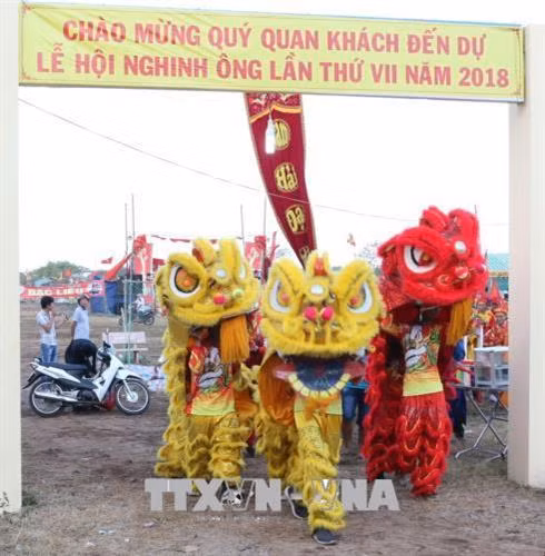 Tưng bừng khai hội Nghinh Ông Hòa Bình – Bạc Liêu. Ảnh: Nhật Bình – TTXVN