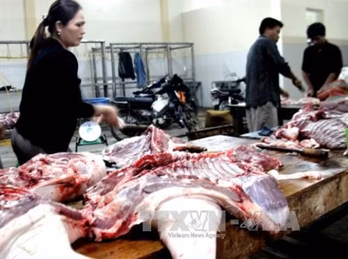Thịt heo được phân loại trước khi xuất bán ra thị trường.