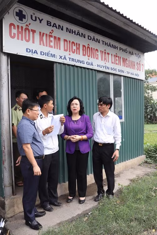 Phó Bí thư Thường trực Thành ủy Hà Nội Ngô Thị Thanh Hằng cùng các thành viên đoàn kiểm tra đã kiểm tra, thăm hỏi, động viên cán bộ làm nhiệm vụ tại chốt kiểm dịch động vật xã Trung Giã - chốt kiểm dịch động vật lưu thông giữa Hà Nội và các tỉnh: Thái Nguyên, Bắc Giang…