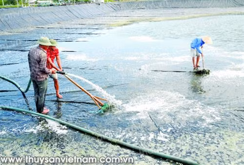Sử dụng máy bơm cao áp xịt rửa sạch mặt bạt sau mỗi vụ nuôi. Ảnh: thuysanvietnam.com.vn