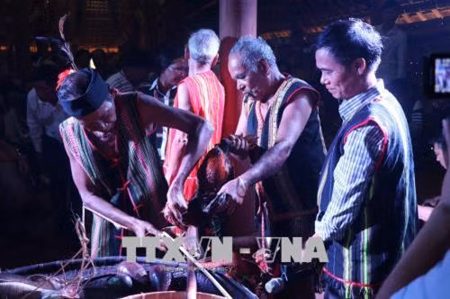 Tiết gà được pha với rượu cần và phết lên các loại nông sản mới thu hoạch . Ảnh: Ngọc Minh - TTXVN