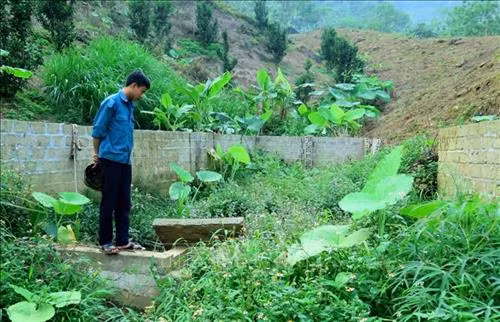 Công trình cấp nước sinh hoạt tập trung tại thôn 10 Minh Tiến sau khi sử dụng hơn 1 tháng đã ngừng hoạt động. Ảnh: Văn Tý-TTXVN