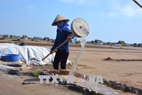 Sản xuất muối ở huyện Giao Thủy. Ảnh Công Luật-TTXVN