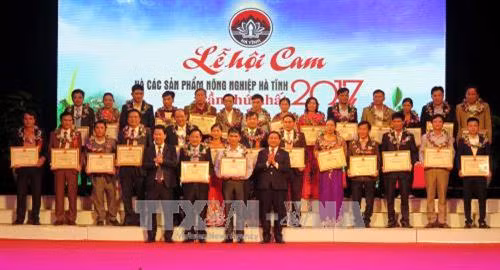 Lãnh đạo tỉnh Hà Tĩnh trao giải cho các huyện thị và người đạt giải trong lễ hội. Ảnh: Công Tường-TTXVN
