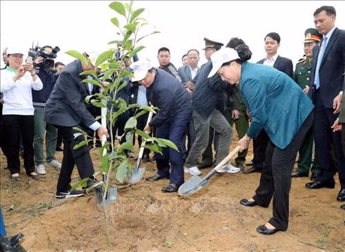 Chủ tịch Quốc hội Nguyễn Thị Kim Ngân tham gia trồng cây tại lễ phát động. Ảnh: Trọng Đức - TTXVN