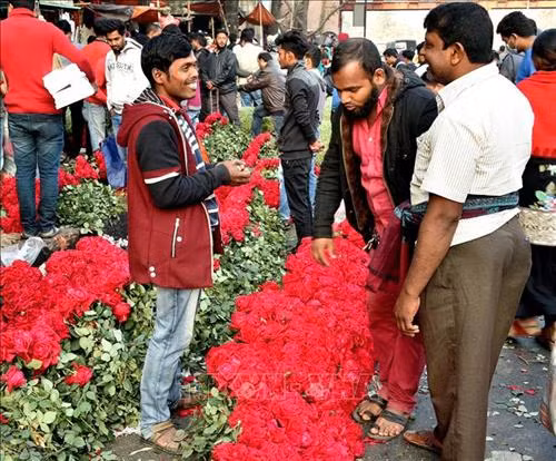 Người dân chọn mua hoa hồng cho ngày Lễ Tình yêu 14/2 tại Dhaka, Bangladesh. Ảnh: THX/ TTXVN