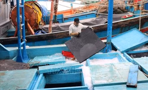 Ngư dân chuẩn bị nguyên liệu cho tàu trước khi rời cảng Hòn Rớ (thành phố Nha Trang, Khánh Hoà). Ảnh: Nguyễn Dũng – TTXVN