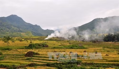 Tả Giàng Phình (Sa Pa) vào mùa lúa chín. Ảnh: Thu Hương - TTXVN