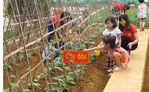 Học sinh trường mầm non Đông Sơn, xã Đông Sơn, thành phố Tam Điệp tìm hiểu về các loại rau tại "Vườn rau sạch cho con". Ảnh: Hải Yến - TTXVN