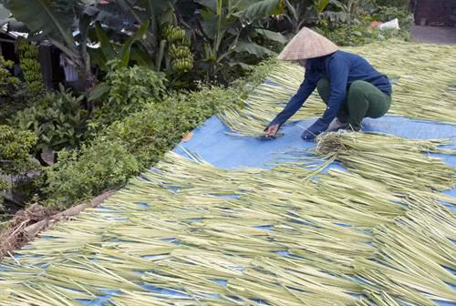 Nón làng Chuông - Nét đẹp văn hóa Việt ảnh 15