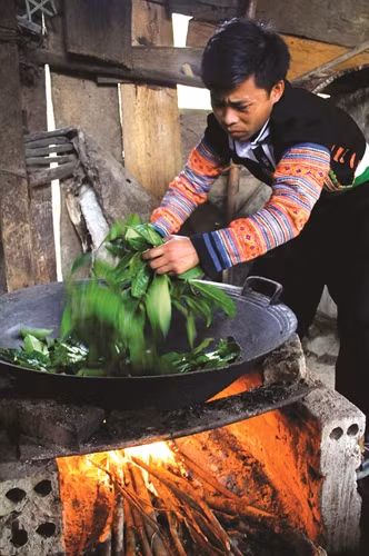 Người Mông ở tỉnh Yên Bái sao chè theo phương pháp truyền thống