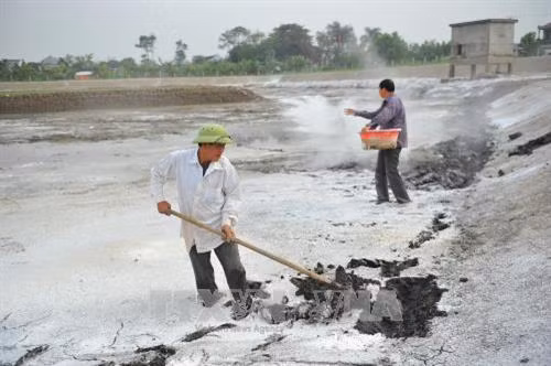 Cải tạo hồ nuôi, tiêu độc khử trùng, đảm bảo vệ sinh cho hồ cá tại xã Gia Hòa, huyện Gia Viễn, tỉnh Ninh Bình. Ảnh: Minh Đức - TTXVN