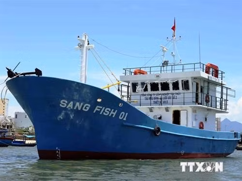 Cho vay "tàu 67" cần hướng theo mô hình nông nghiệp cao ảnh 1