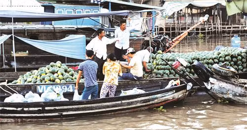 Cà Mau là miền của sông nước và miệt vườn nên sản vật nơi đây rất sẵn, thơm ngon mà giá cả lại vô cùng rẻ Du khách chụp ảnh lưu niệm tại cột mốc Tọa độ Quốc gia GPS 0001 (cây số 0) Thuyền đưa du khách khám phá miệt vườn, kênh rạch