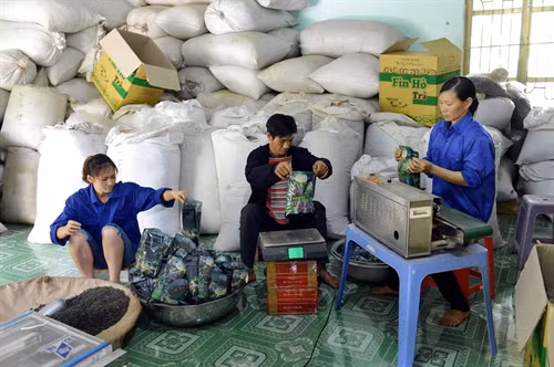 Hợp tác xã giải quyết việc làm thường xuyên cho 20 người với mức lương từ 4 – 6 triệu/tháng