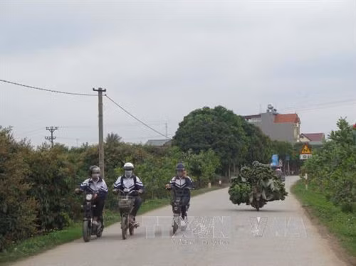 Một đoạn trên tuyến đường tỉnh 390 đi qua Thanh Hà dự kiến được mở rộng trong năm nay. Ảnh: Mạnh Minh - TTXVN
