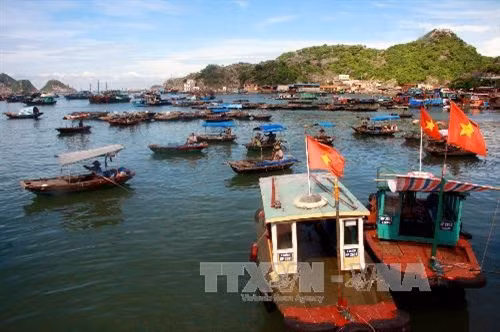 Tàu phục vụ khách du lịch tại đảo Cát Bà, huyện Cát Hải. Ảnh: Thế Duyệt – TTXVN
