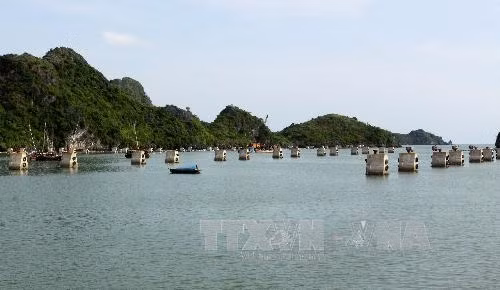 Trung tâm hậu cần nghề cá đang được xây dựng tại xã Trân Châu, phục vụ nhu cầu đánh bắt hải sản trên Vịnh Bắc bộ. Ảnh: Thế Duyệt – TTXVN