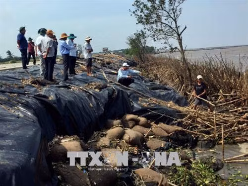 Chủ đầu tư và đơn vị thi công tiến hành khảo sát nắm tình hình sạt lở tại huyện Ngọc Hiển, tỉnh Cà Mau để chọn giải pháp đầu tư công trình kè bảo vệ bờ biển phù hợp. Ảnh: TTXVN phát