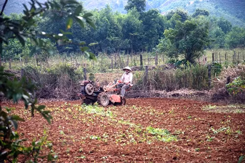 Người dân tăng gia sản xuất tại nơi ở mới
