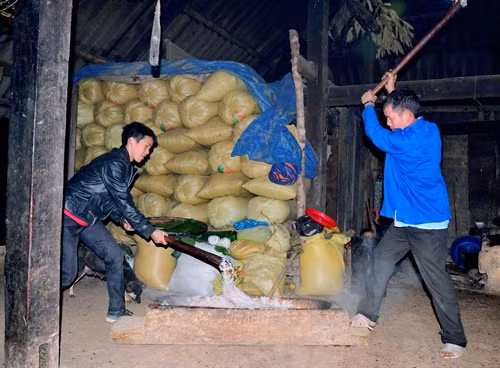Giã bánh giầy trong ngày Tết