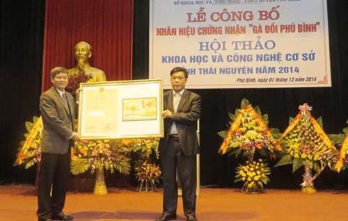 Gà đồi Phú Bình trở thành thương hiệu mạnh ảnh 1