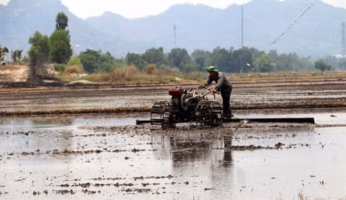 Tranh thủ nước về, nông dân xã Vĩnh Tế, thành phố Châu Đốc (tỉnh An Giang) làm đất chuẩn bị gieo cấy vụ lúa hè thu 2016. Ảnh Công Mạo- TTXVN
