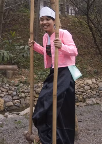 Đu xuân (ảnh chụp ở Chăm Mát, Hòa Bình).