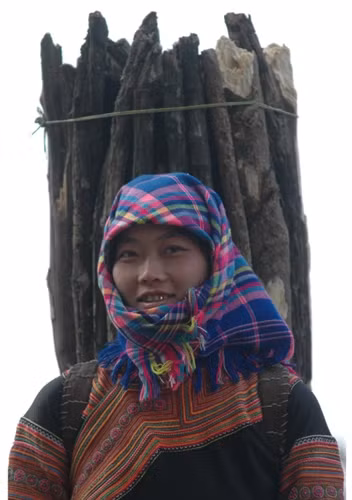 Đi lấy củi về (ảnh chụp ở Kao Sơn, Lào Cai).