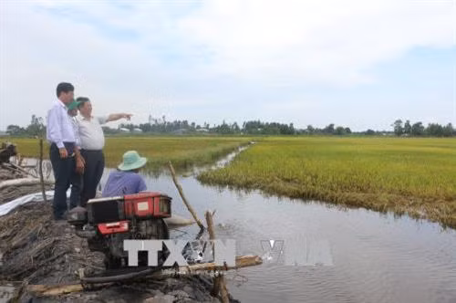 Theo Chi cục Thủy lợi tỉnh Long An, từ đầu tháng 7/2018 đến nay, mực nước lũ đổ về mạnh với cường suất bình quân từ 3-5 cm/ngày/đêm, kết hợp với triều cường đã đe dọa hàng ngànn ha lúa ở các xã vùng trũng của các huyện vùng Đồng Tháp Mười, tỉnh Long An. Ảnh: Thanh Bình/TTXVN