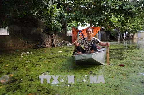 Hằng ngày, người dân xã Nam Phương Tiến phải di chuyển, chung sống trong làn nước và môi trường bị ô nhiễm nghiêm trọng bởi đủ loại chất thải tồn đọng lâu ngày (ảnh chụp ngày 6/8/2018). Ảnh: Thành Đạt – TTXVN
