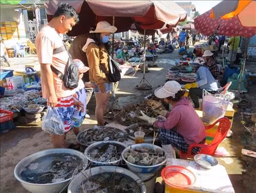 Chợ Nại nằm ngay bên Đầm Nại chuyên cung cấp các loại hải sản tươi ngon. Ảnh: Nguyễn Thành – TTXVN