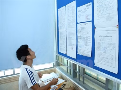 Thí sinh xem thông tin xét tuyển tại Đại học Công nghiệp Hà Nội. (Ảnh: Lê Minh Sơn/Vietnam+)