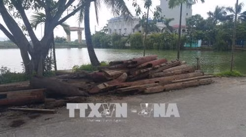 Các cấu kiện gỗ hạ giải từ đình cũ vứt ngổn ngang ngoài đường. Ảnh: Đinh Thuận - TTXVN