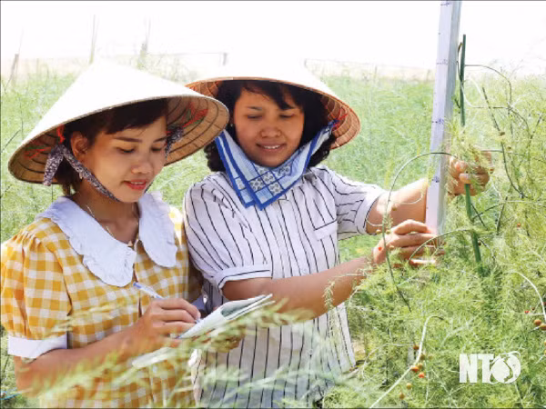 Ninh Thuận tạo mọi điều kiện để phụ nữ phát huy năng lực ảnh 2