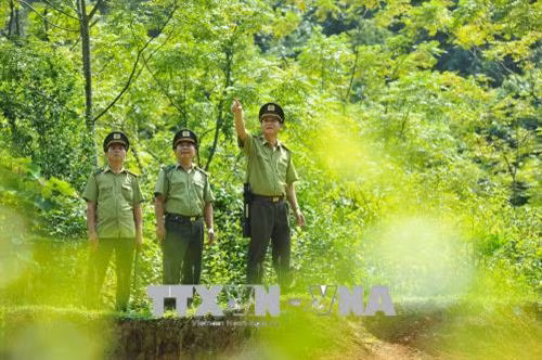 Ngoài những lúc tuần tra bảo vệ rừng, các cán bộ của Hạt Kiểm lâm liên huyện Hoa Lư – Gia Viễn luôn bảo dưỡng, kiểm tra các phương tiện, máy móc đảm bảo hoạt động tốt khi có cháy xảy ra. Ảnh: Minh Đức - TTXVN Ngoài những lúc tuần tra bảo vệ rừng, các cán bộ của Hạt Kiểm lâm liên huyện Hoa Lư - Gia Viễn luôn bảo dưỡng, kiểm tra các phương tiện, máy móc đảm bảo hoạt động tốt khi có cháy xảy ra. Ảnh: Minh Đức - TTXVN Công việc trong ngày của các kiểm lâm viên là đi bộ băng rừng, lội suối để tuần tra những diện tích rừng được giao quản lý, bảo vệ. Ảnh: Minh Đức - TTXVN Công việc trong ngày của các kiểm lâm viên là đi bộ băng rừng, lội suối để tuần tra những diện tích rừng được giao quản lý, bảo vệ. Ảnh: Minh Đức - TTXVN Hạt trưởng Hạt Kiểm lâm liên huyện Hoa Lư - Gia viễn Bùi Công Chính phân công nhiệm vụ cho các cán bộ tuần tra bảo vệ rừng. Ảnh: Minh Đức - TTXVN