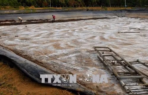 Vệ sinh bề mặt bạt lót nền đáy ao tôm trước khi nuôi thả lứa mới ở huyện Trần Đề. Ảnh: Ngọc Hà - TTXVN