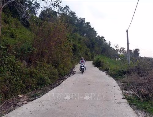Đường bê tông thôn Tân Quang, xã Thái Bình (Yên Sơn, Tuyên Quang). Ảnh: Quang Đán - TTXVN