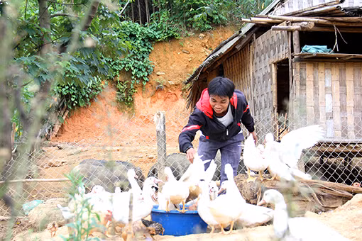 Đông Giang hỗ trợ thanh niên khởi nghiệp ảnh 3