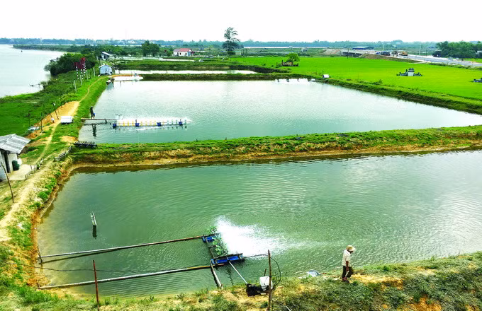 Miền “Đất lửa” với khát vọng vươn lên ảnh 6