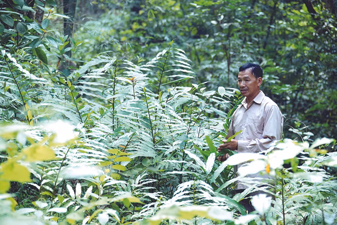 Người đánh thức “kho báu” từ thiên nhiên ảnh 2